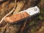 Magnum Forest Ranger